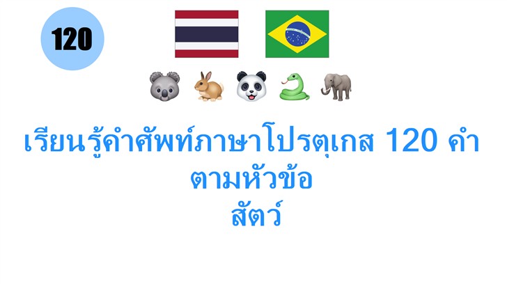 เรียนรู้คำศัพท์ภาษาโปรตุเกส 120 คำตามหัวข้อ: สัตว์